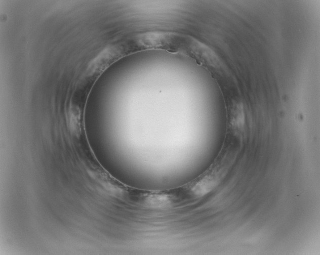 X0000070430332200606121417