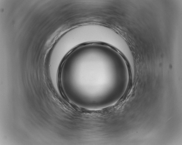 X0000070430339200606121416