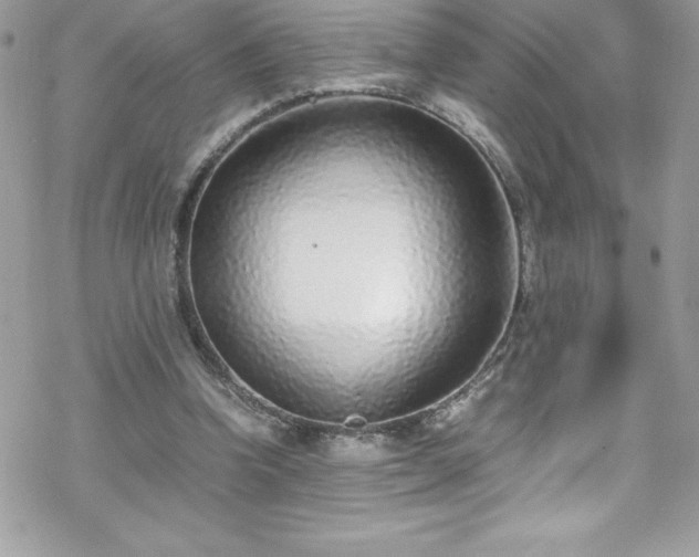X0000070430346200606121416