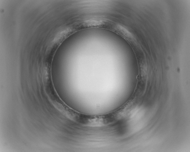X0000070430362200606121417