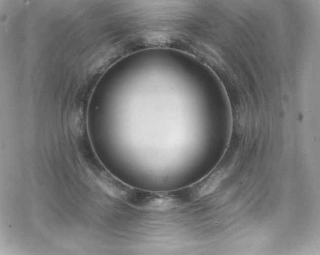 X0000070430364200606121417