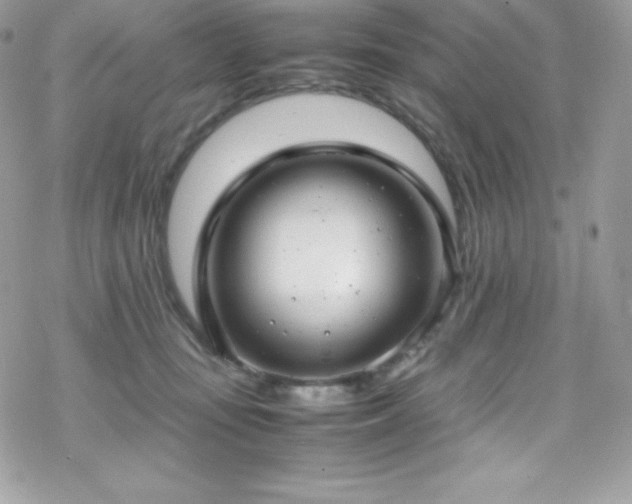 X0000070430371200606121417