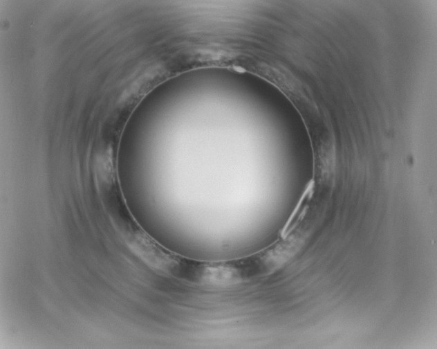 X0000070430376200606121417