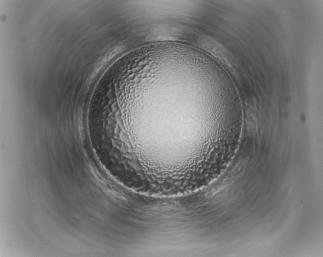 X0000070430386200606121416