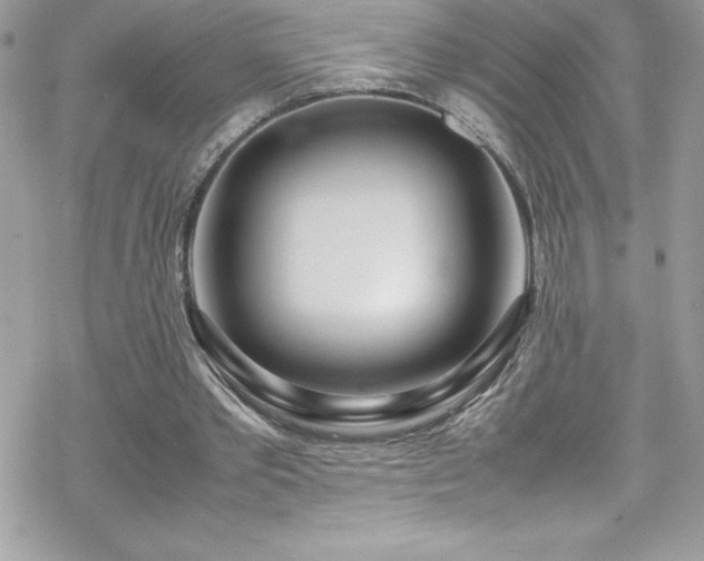 X0000070430389200606121416