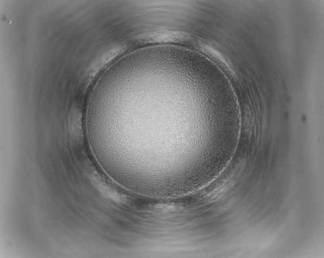 X0000070430394200606121416