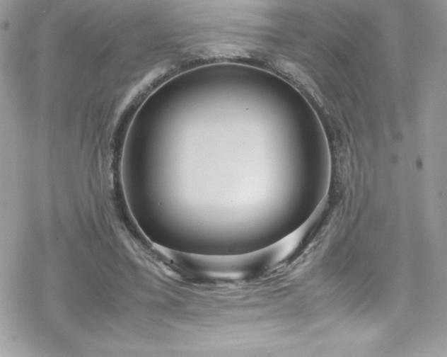 X0000070430395200606121416