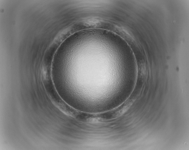 X0000070430408200606121416