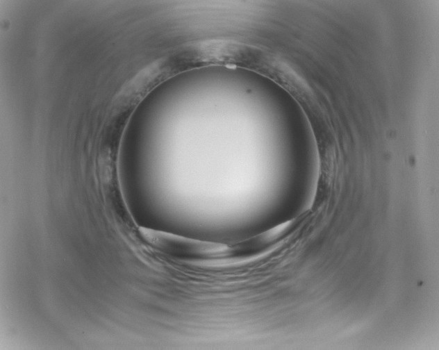 X0000070430413200606121416