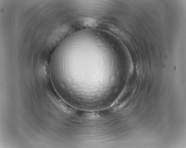 X0000070430424200606121416