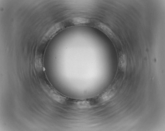 X0000070430426200606121416