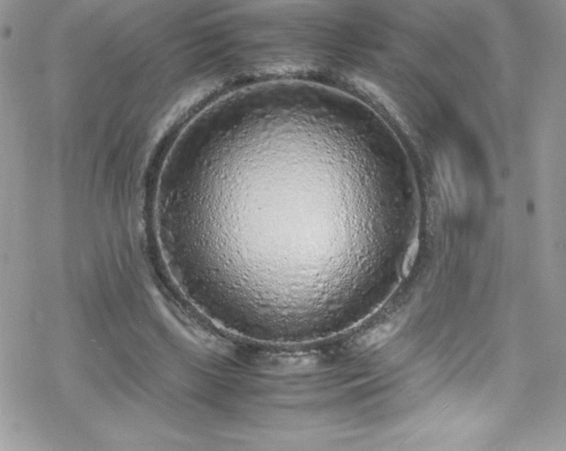 X0000070430443200606121415