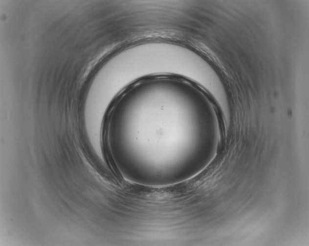 X0000070430444200606121415