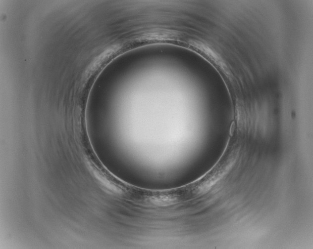 X0000070430445200606121415