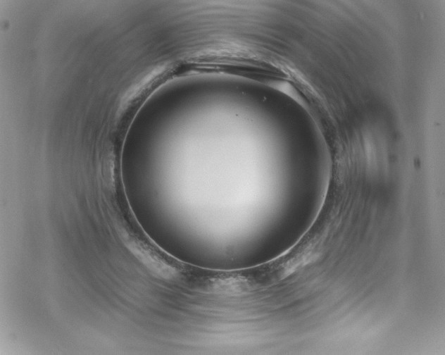 X0000070430446200606121415