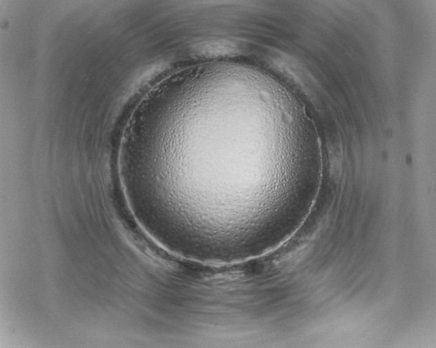X0000070430447200606121415