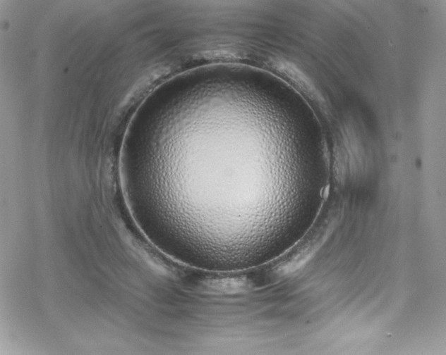 X0000070430449200606121415