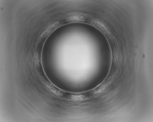 X0000070430457200606121415
