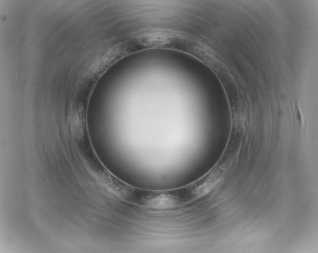 X0000070430460200606121415