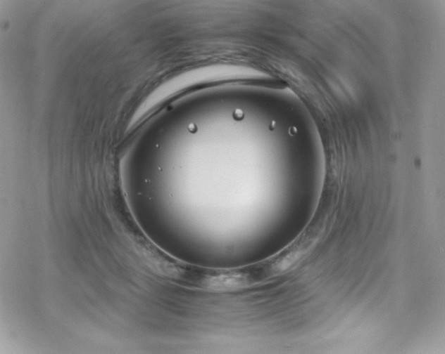X0000070430461200606121415