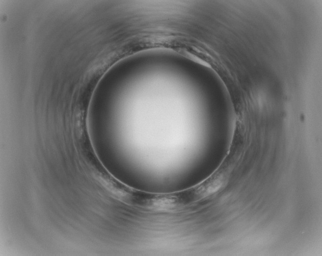 X0000070430462200606121415