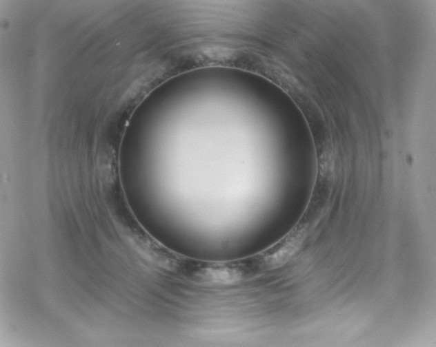 X0000070430464200606121415