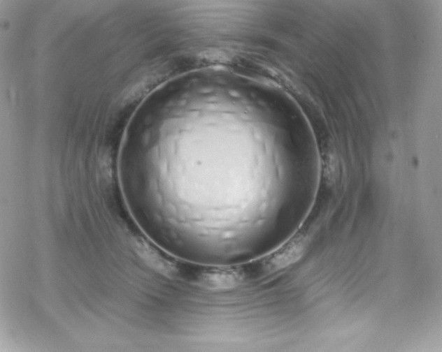 X0000070430466200606121415