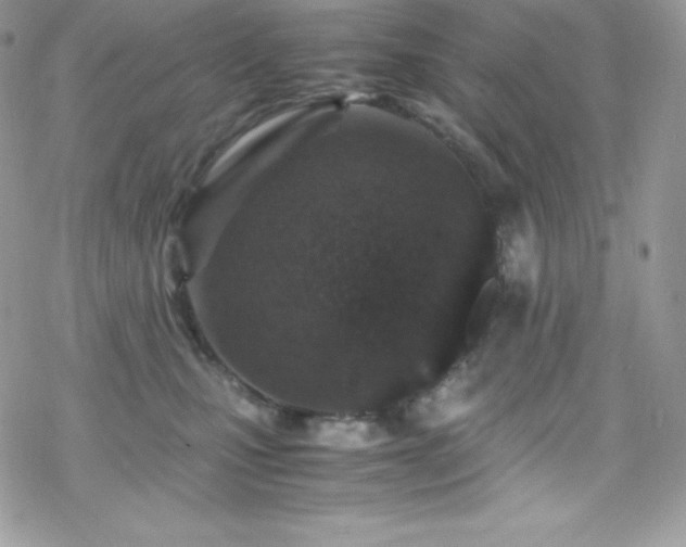 X0000070430471200606121415