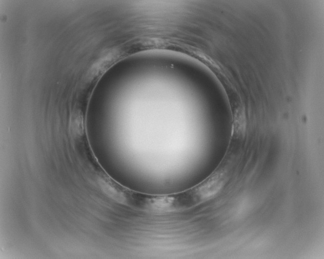 X0000070430474200606121415
