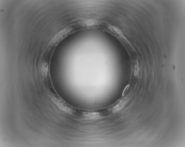 X0000070430476200606121415