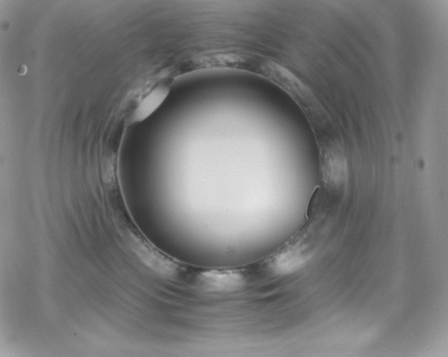 X0000070430477200606121415