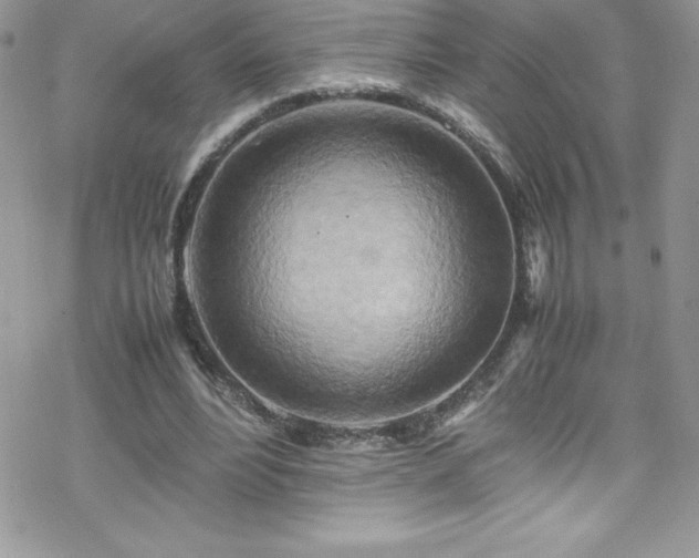 X0000070430488200606121414