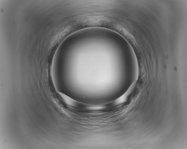 X0000070430493200606121414