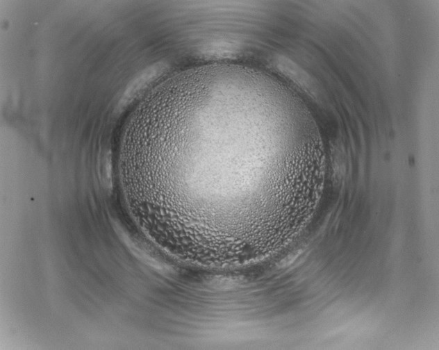 X0000070430494200606121414