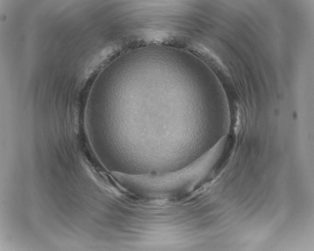 X0000070430496200606121414