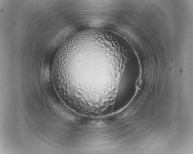 X0000070430502200606121414
