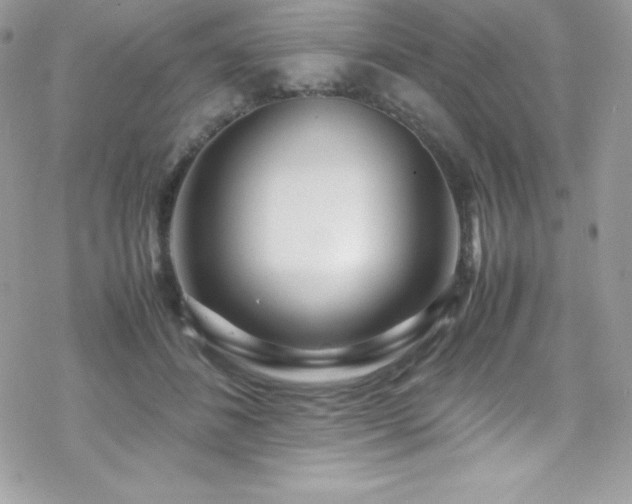 X0000070430508200606121414