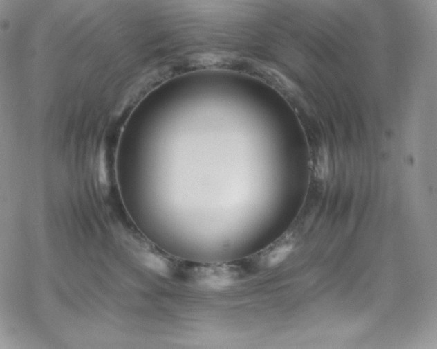 X0000070430524200606121414