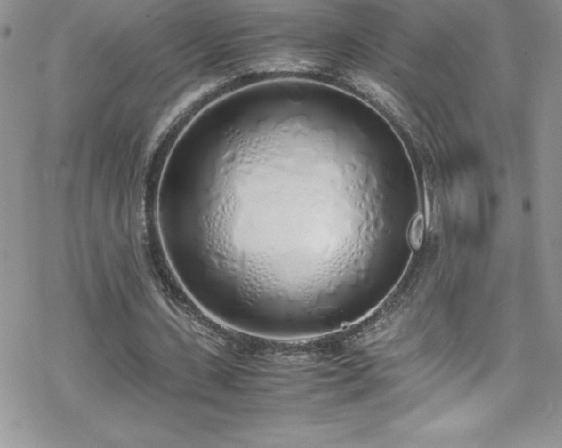 X0000070430531200606121413