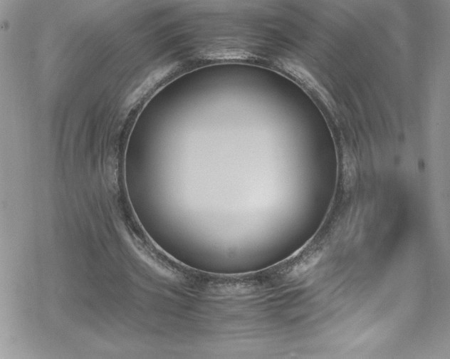 X0000070430533200606121413