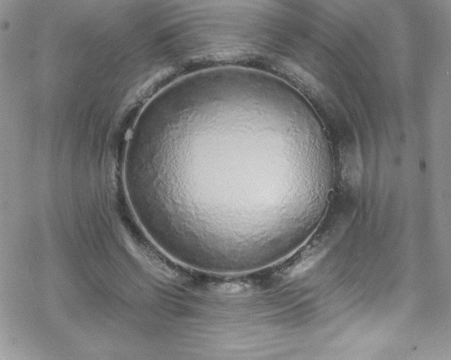 X0000070430542200606121413