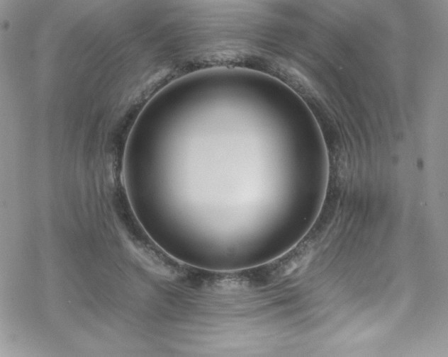 X0000070430546200606121413