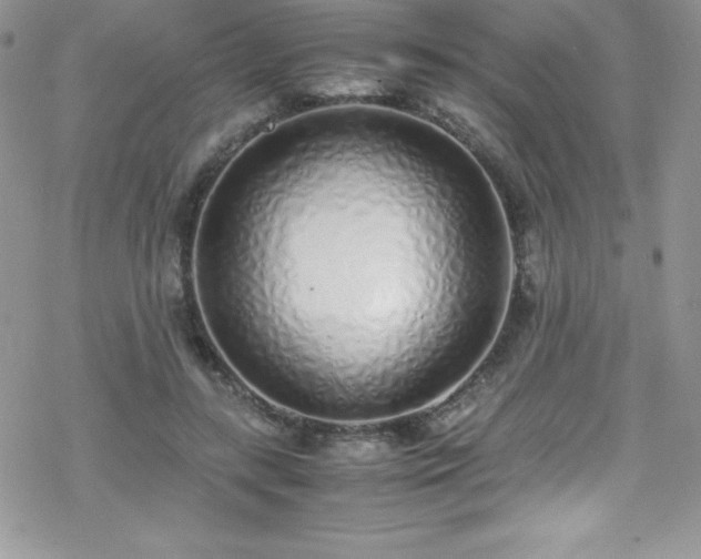 X0000070430547200606121413