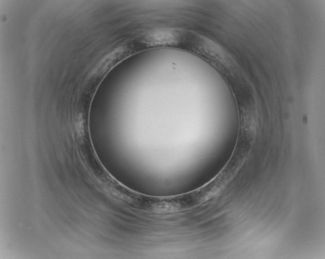 X0000070430549200606121413