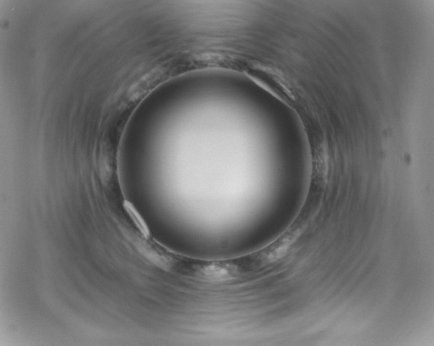 X0000070430566200606121414