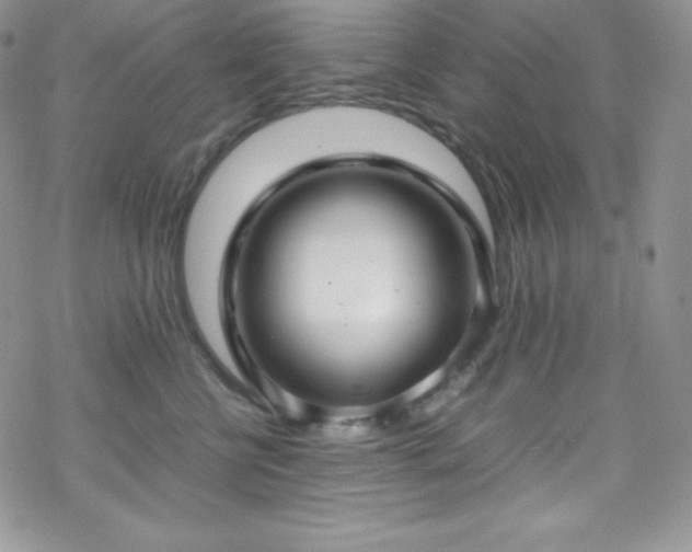 X0000070430570200606121414