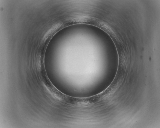 X0000070430586200606121413