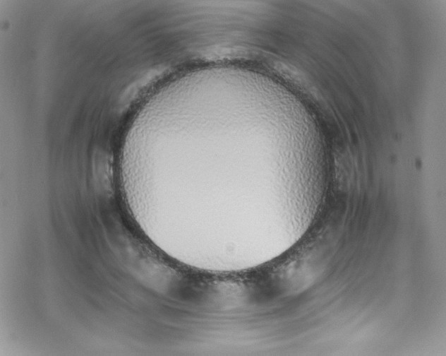 X0000070430592200606121413