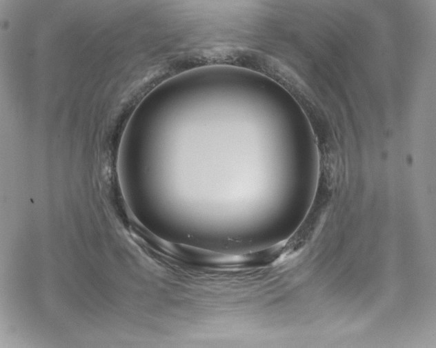 X0000070430593200606121413