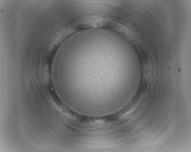 X0000070430594200606121413
